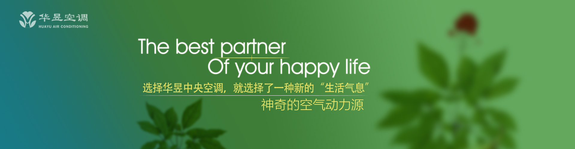 千古不朽网